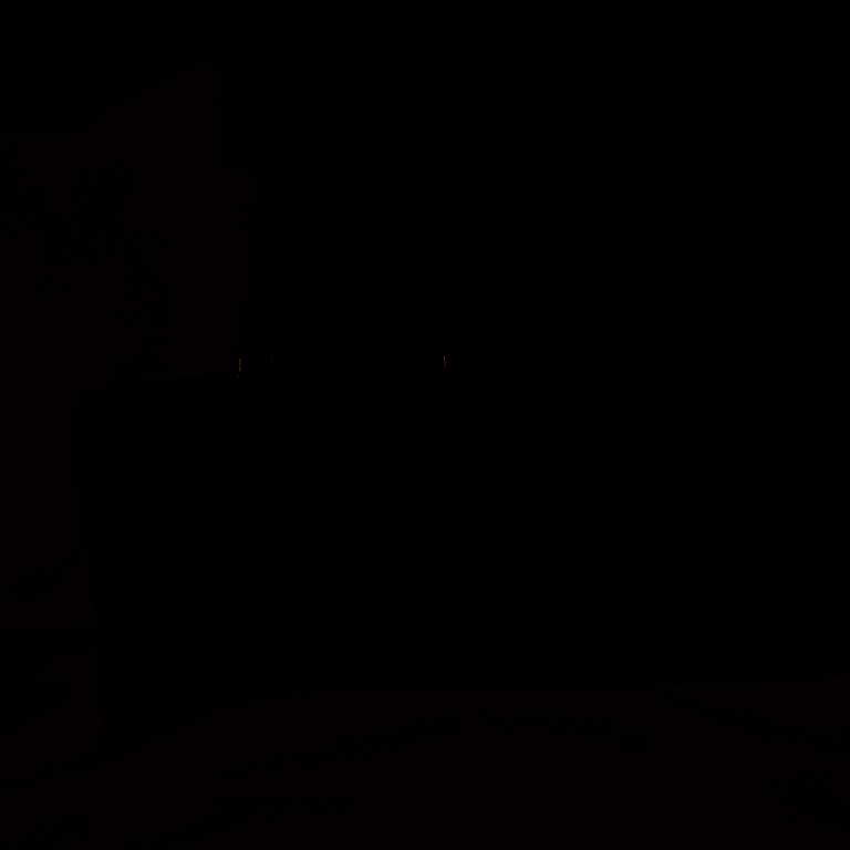 Céline, weekend bag.