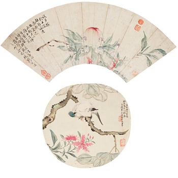 697. Two Fan paintings by unknown artis, late Qing dynasty.