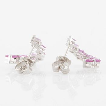 Örhängen 18K vitguld med rosa safirer.