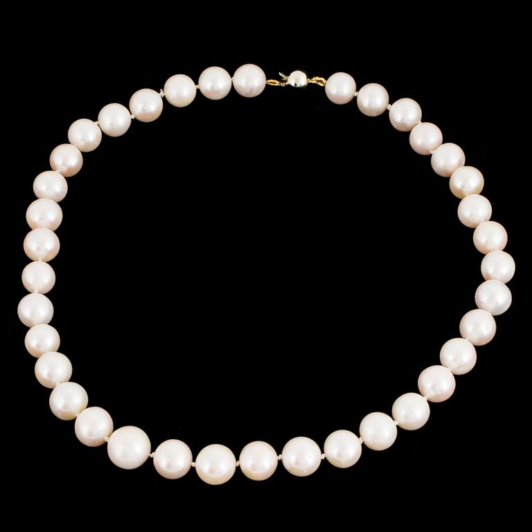 A cultured pearl necklace. clasp 14K gold.