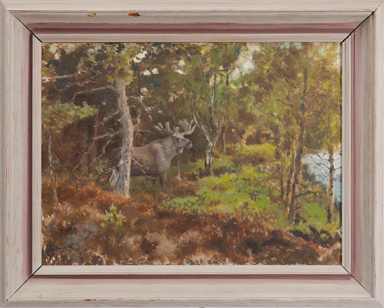 Harald Wiberg, Moose in the forest.