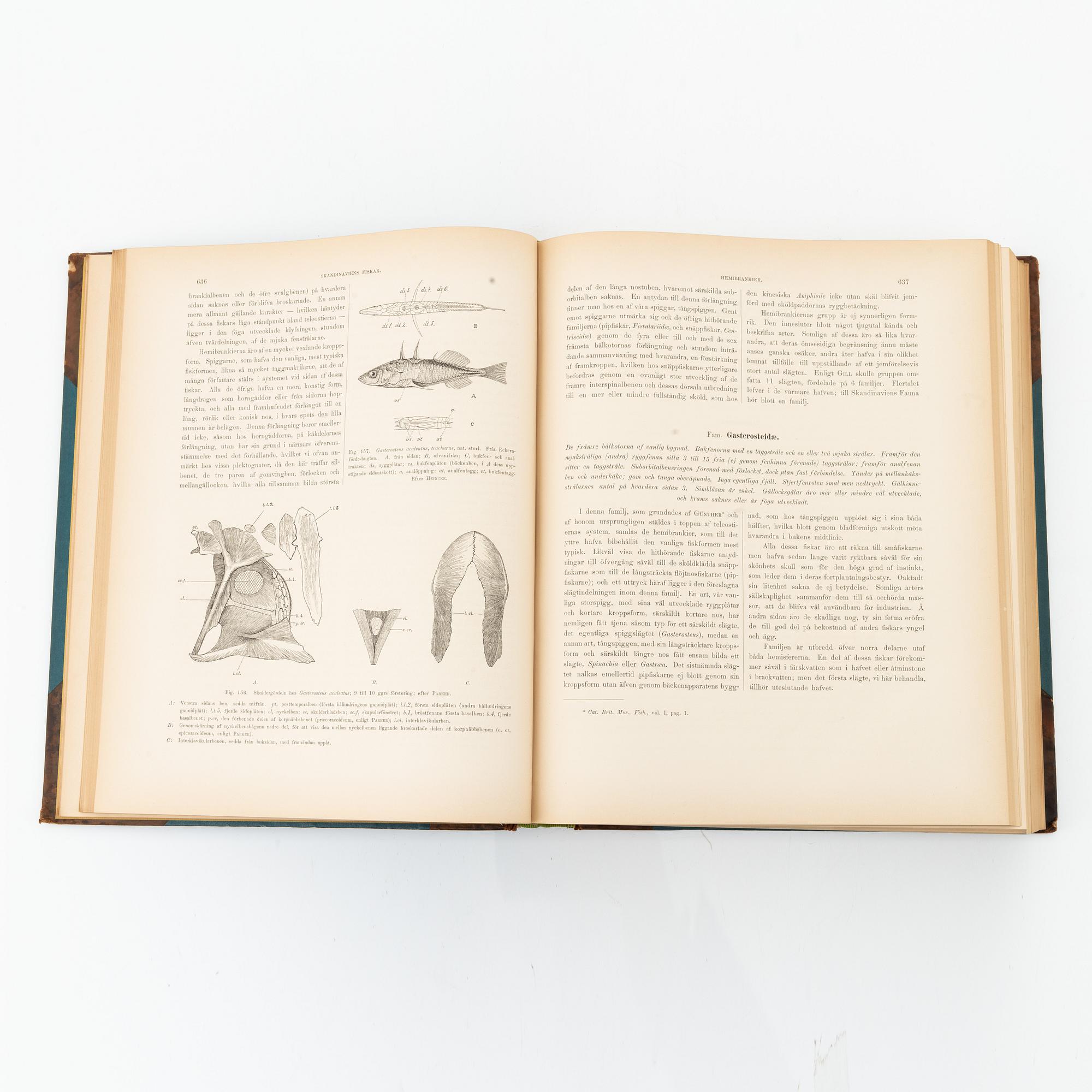 Wilhelm von Wright, 'Skandinaviens fiskar', three volumes, Stockholm, P. A. Norstedt & Söners Förlag, 1892-95.