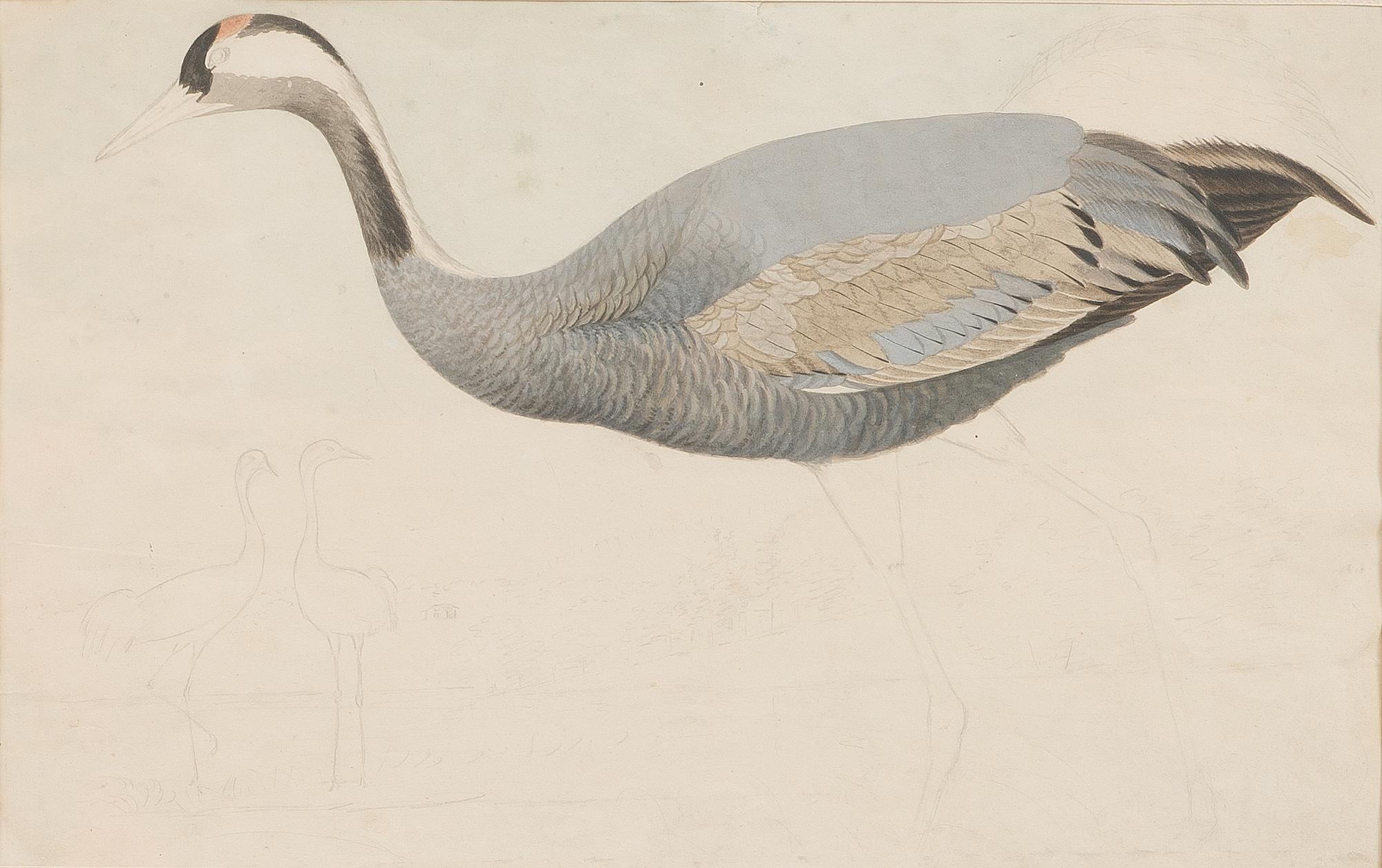 Mixed media on paper.