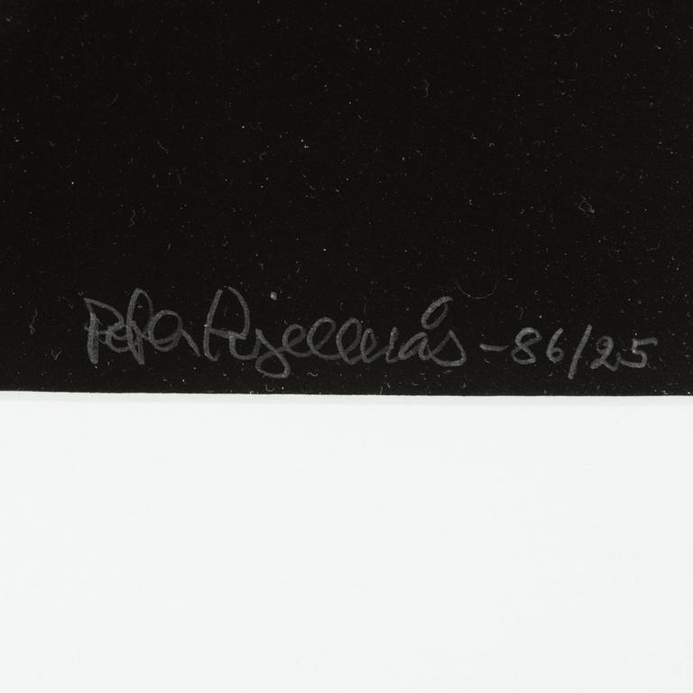 Peter Kjellerås, "Joakim Thåström, Ritz", 1986.