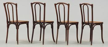 STOLAR, 4 st, Thonet, 1900-talets första hälft.