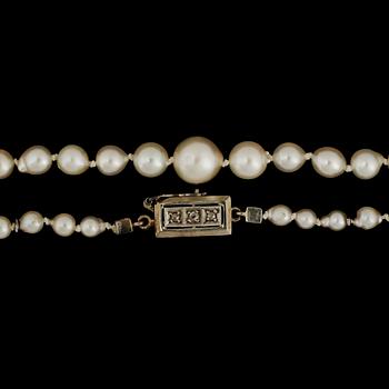 COLLIER, odlade saltvattenspärlor lås 18k vitguld med små rosenslipade diamanter.