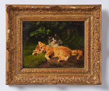 Julius II Adam, Kittens.