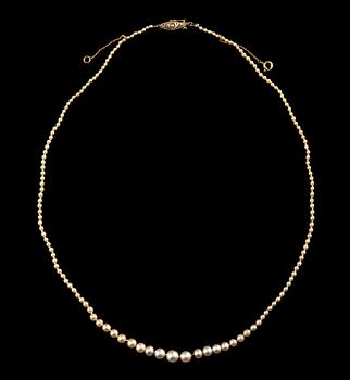 367. A NECKLACE, oriental pearls, 5,7-1,6 mm. Clasp in 18K gold. 1910/20 s. Length 45 cm.