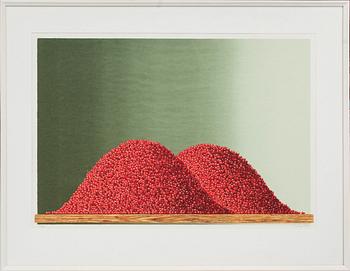 PHILIP VON SCHANTZ, färgserigrafi, signerad och numrerad 86/90, daterad -80.