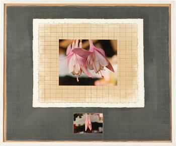 Michelle Stuart, "Correspondences: Time, Connecticut Fuchsia".