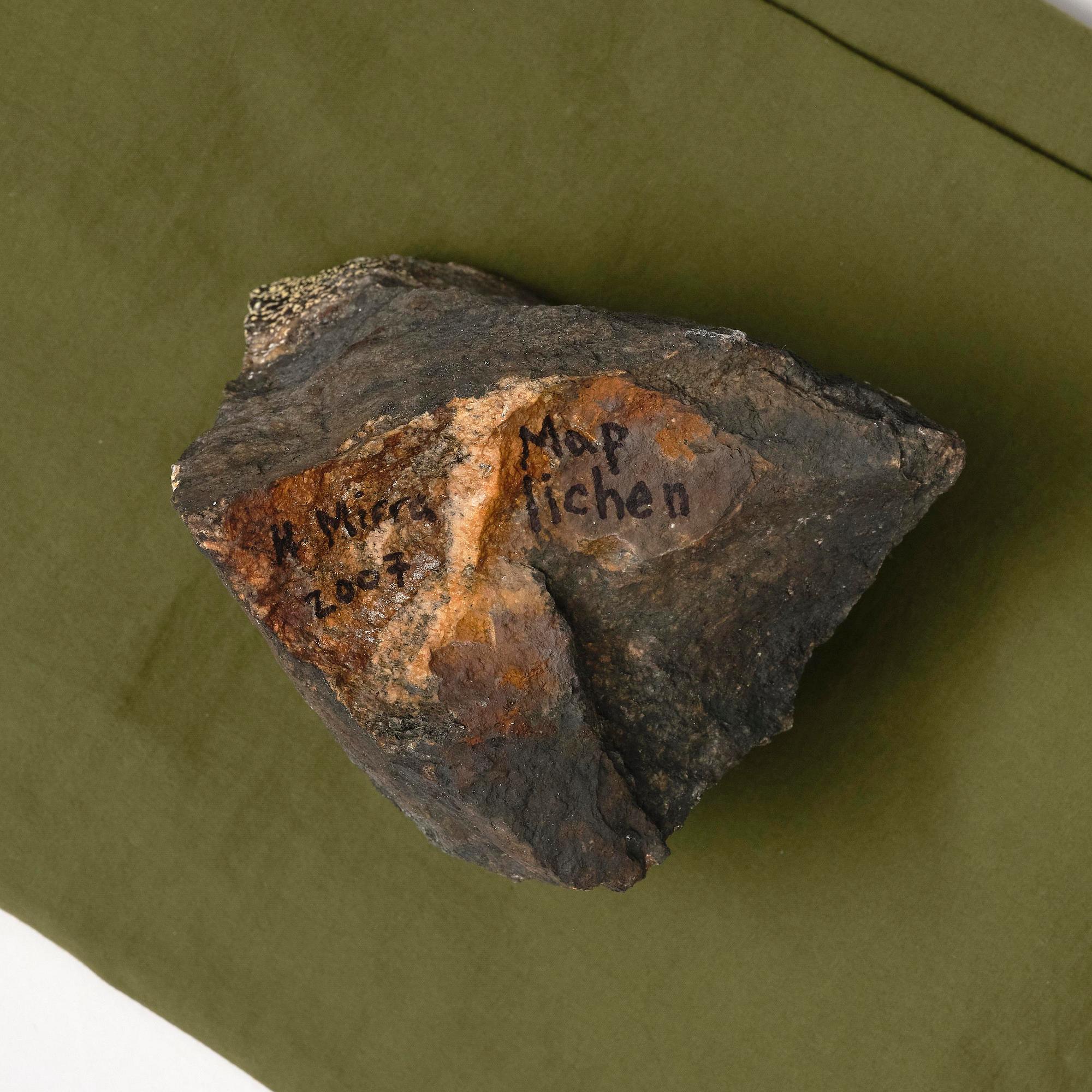 Hendl Helen Mirra, "Map Lichen".