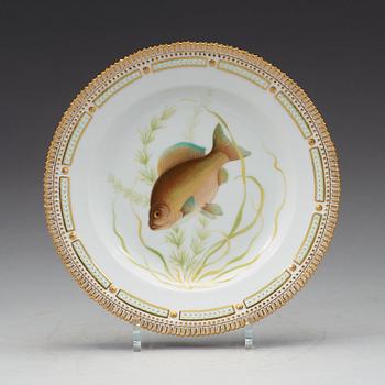 TALLRIKAR, sex stycken, porslin. "Fauna Danica", Kunglig Dansk, 1900-tal.
