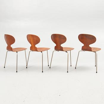 Arne Jacobsen, Four chairs, “Ant”, Fritz Hansen, 1950s/60s.