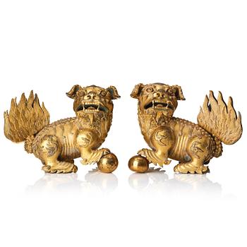 862. A pair of gilt bronze scultpures of buddhist lions, 18/19th Century.