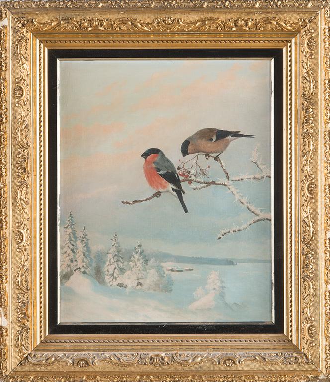 Matti Karppanen, Two Bullfinches.