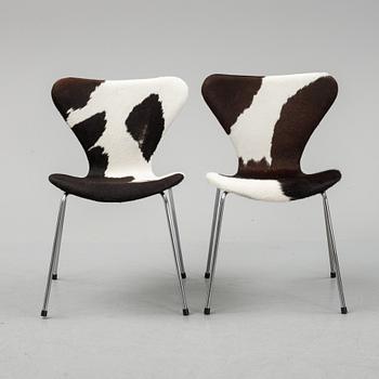 Arne Jacobsen, a set of six 'Serie 7' chairs for Fritz Hansen, Denmark, second half of the 20th Century.