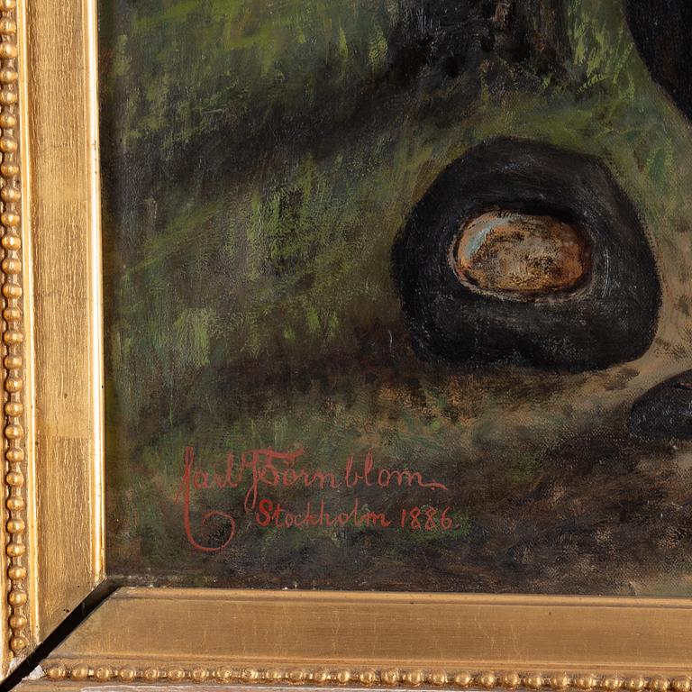 Unknown artist, oil on canvas, signed carl Törnblom and dated Stockholm 1886.