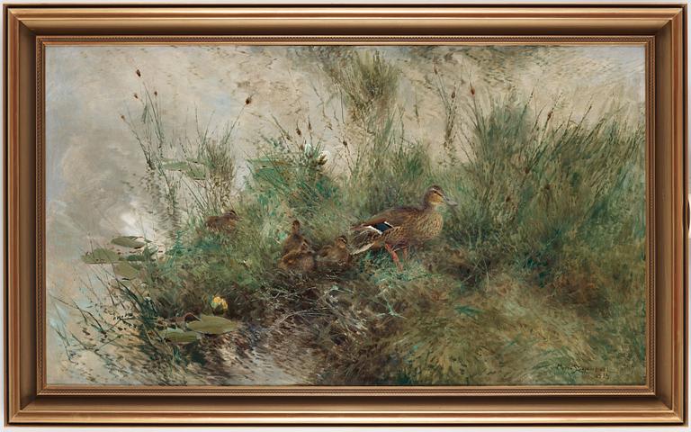 Mosse Stoopendaal, Mallards by water.