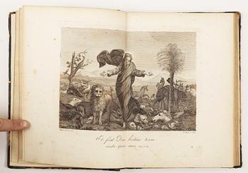 BOK, "Raccolta di cinqantadue quadretti dipinti a fresco da Raffaelle Sanzio d`Urbino..." Rom 1820.