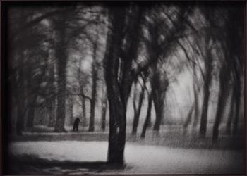 Johan Strindberg,"Life I, A walk in the park", 2014.