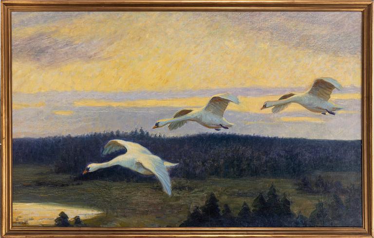 William Gislander, Swans.