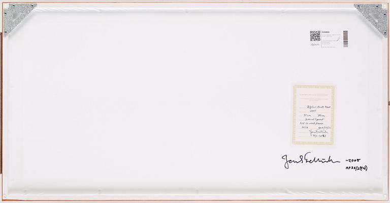 Jacob Felländer, "Big Sur Invite Small", 2005.