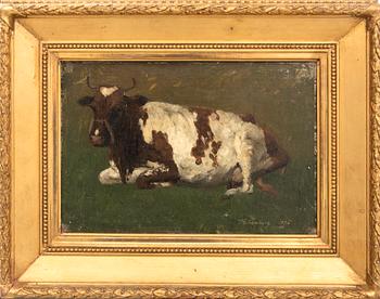Anders Kallenberg, Resting cow.