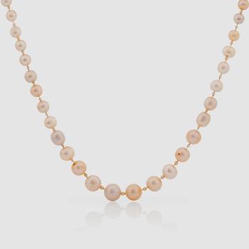 131. A pearl necklace. Probably Swedish non-nucleated fresh water pearls ('river pearls') Diameter circa 4.8 - 9.5 mm.