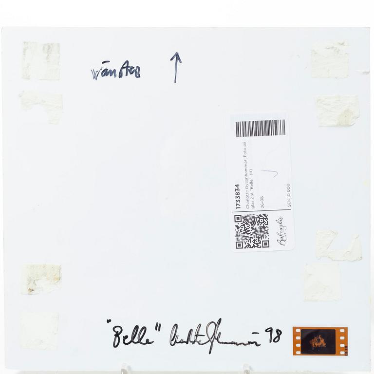Charlotte Gyllenhammar, "Belle" (2).
