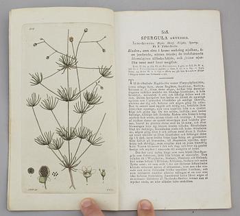 JOHAN WILHELM PALMSTRUCH, "Svensk Botanik, vol I-V. 1803-1805.
