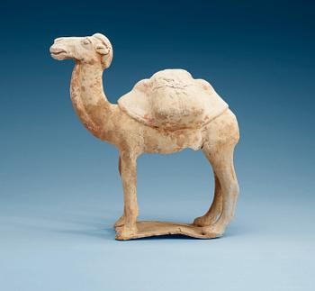 1447. A pottery figure of a Camel, presumably Tang dynasty (618-906).