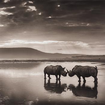 211. Nick Brandt, "Rhinos on lake, Lake Nakuru", 2007.