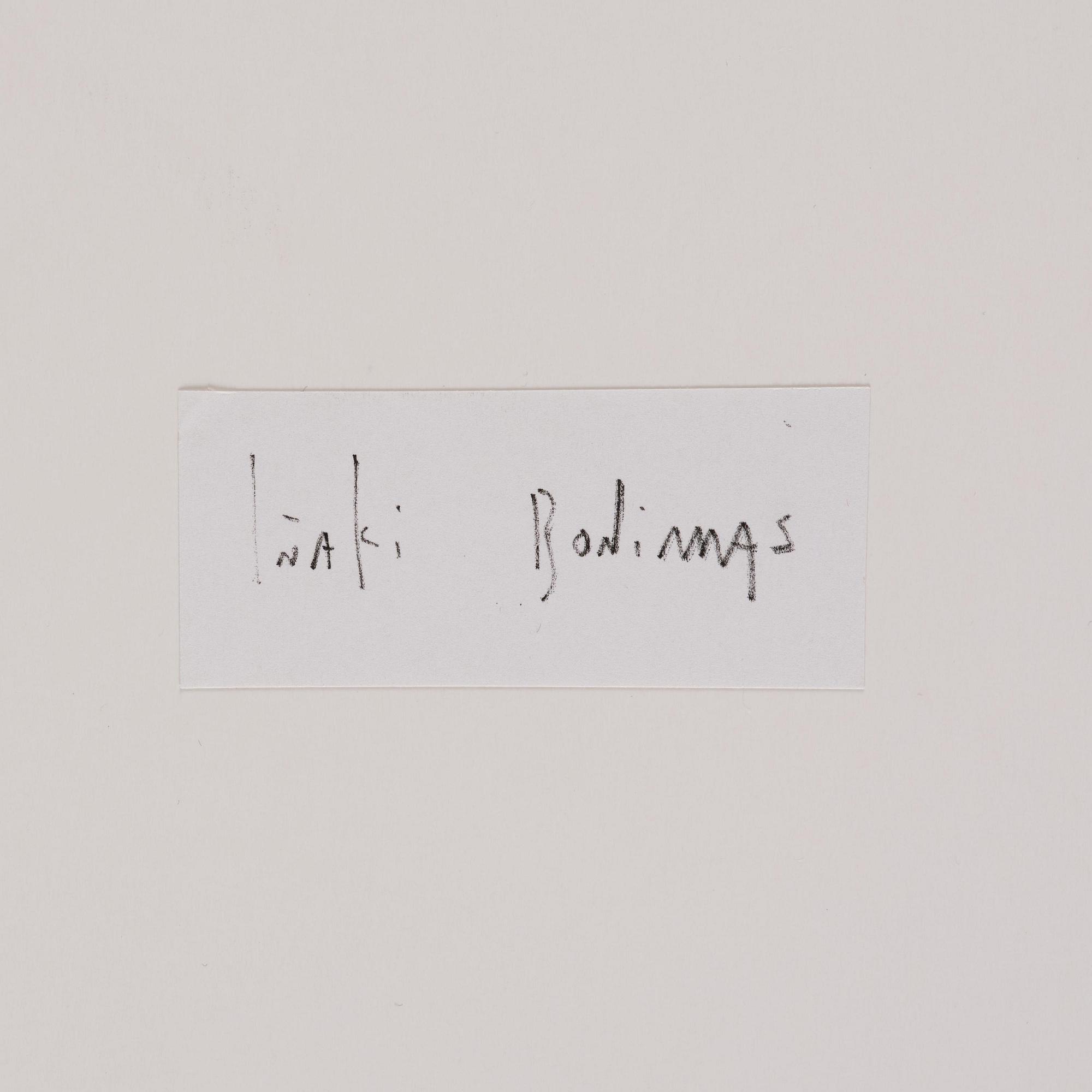 Iñaki Bonillas, "The Rain Came Last", 2013.