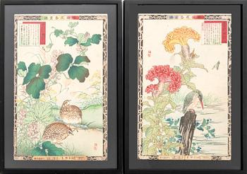 Kōno Bairei, färgträsnitt Kacho-e 4 stycken, Japan 1800-tal.