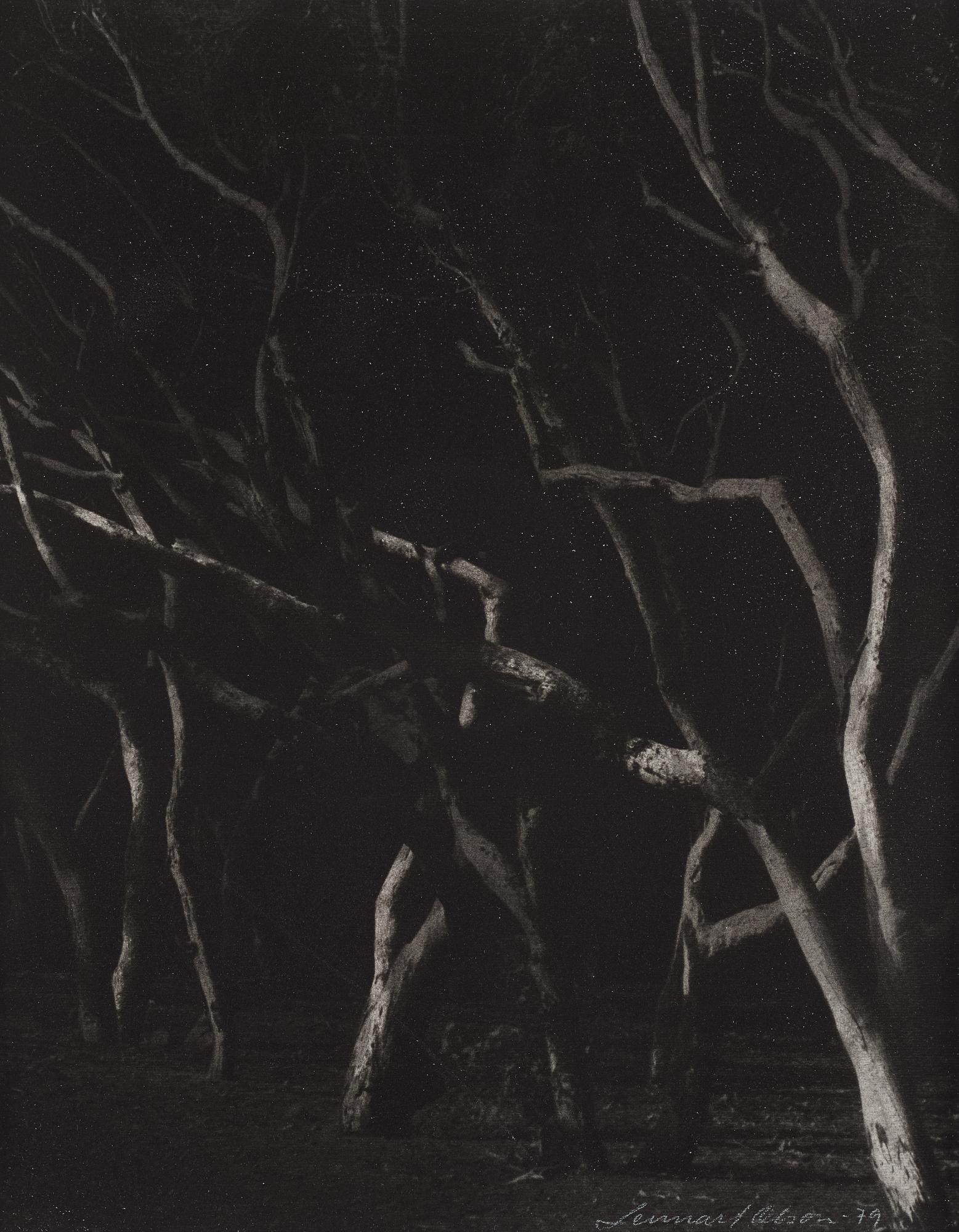 Lennart Olson, "Agadir II", 1979.