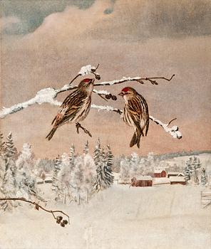 222. Matti Karppanen, WINTER BIRDS.