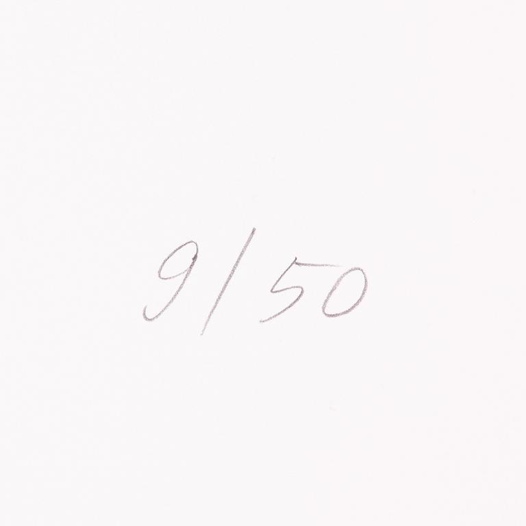 Raul Meel,  "Windows and Landscape 2".