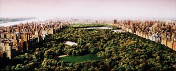 213. David Drebin, "Dreams of Central park", 2006.