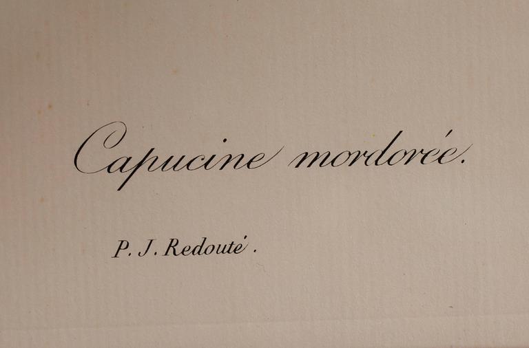 TAVLOR, 5 st, efter Redouté, tryck, 1900-talets andra hälft.