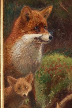 Bruno Liljefors, Fox family.