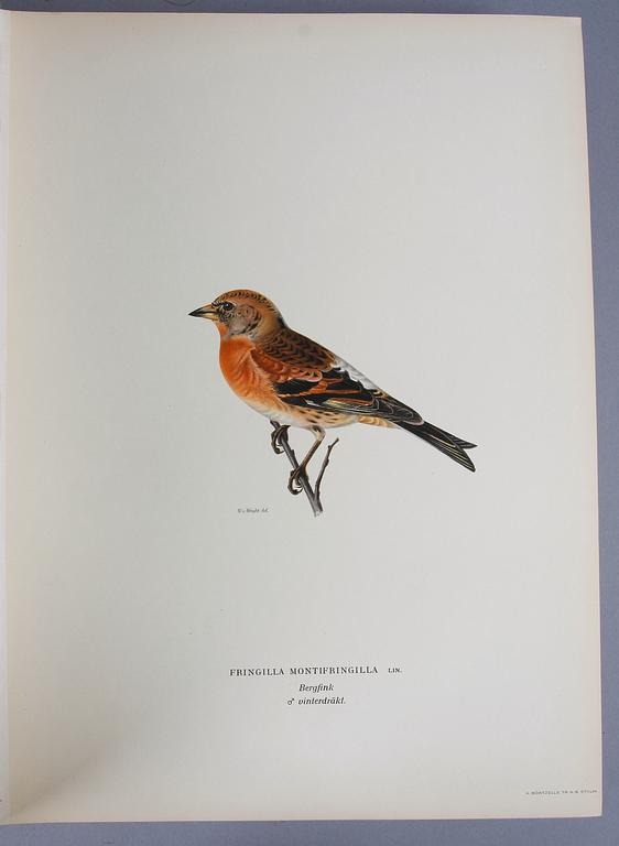 BÖCKER, 3 vol, "Svenska Fåglar", M, W och F von Wright, Förlaget svenska fåglar, Stockholm, 1929.