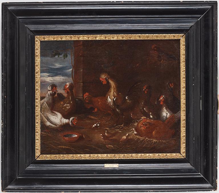 Melchior de Hondecoeter Circle of, A rooster in the chicken farm.