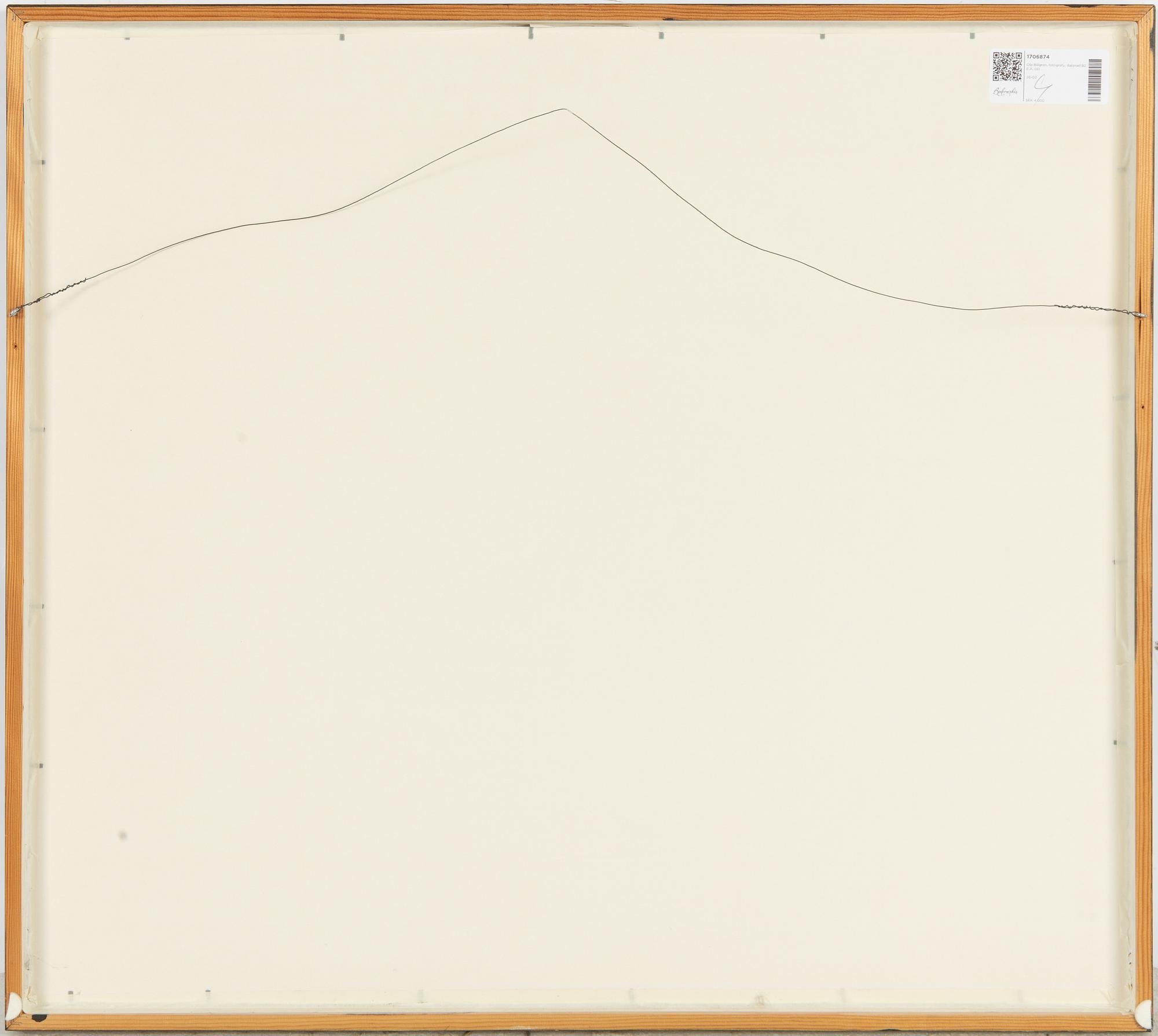 Ola Billgren, Untitled.