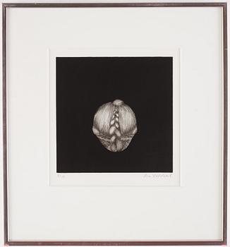 Eva Löfdahl, Untitled.