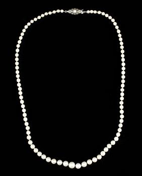 PÄRLCOLLIER, 3 st, silverlås, 1900-talets första hälft.