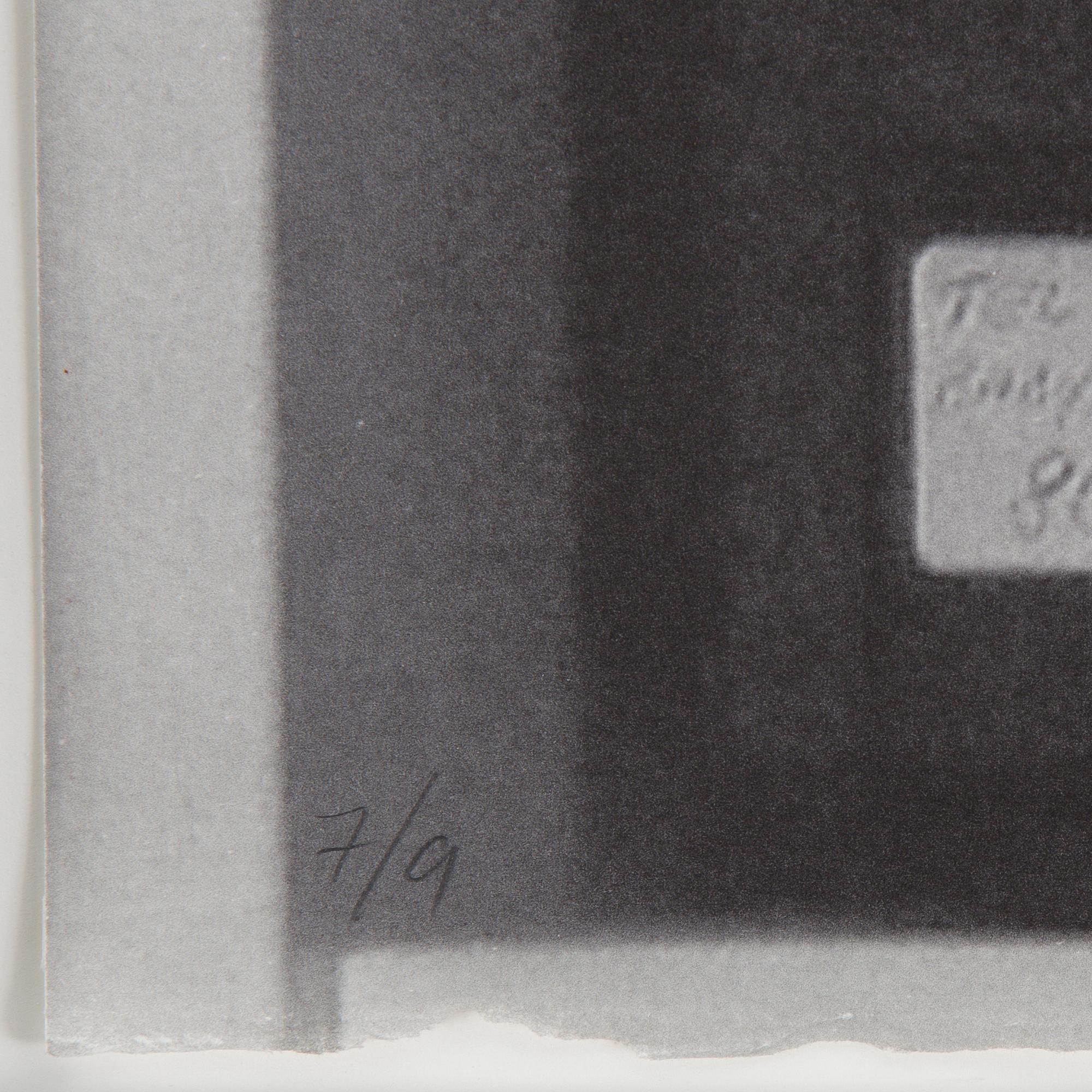 Ann-Sofi Sidén, "After the fact" (Alarm), 2007.