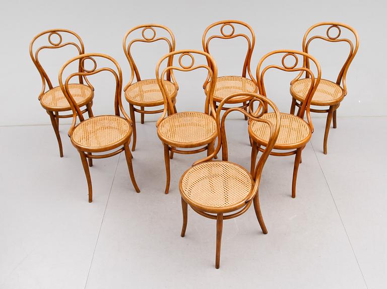 STOLAR, 8 st, Thonet, 1900-talets första hälft.