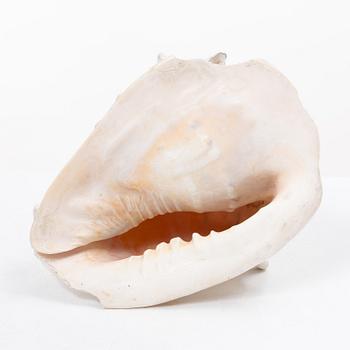 Firma Svenskt Tenn, shells 4 pcs, including one Nautilus shell with a brass mount.