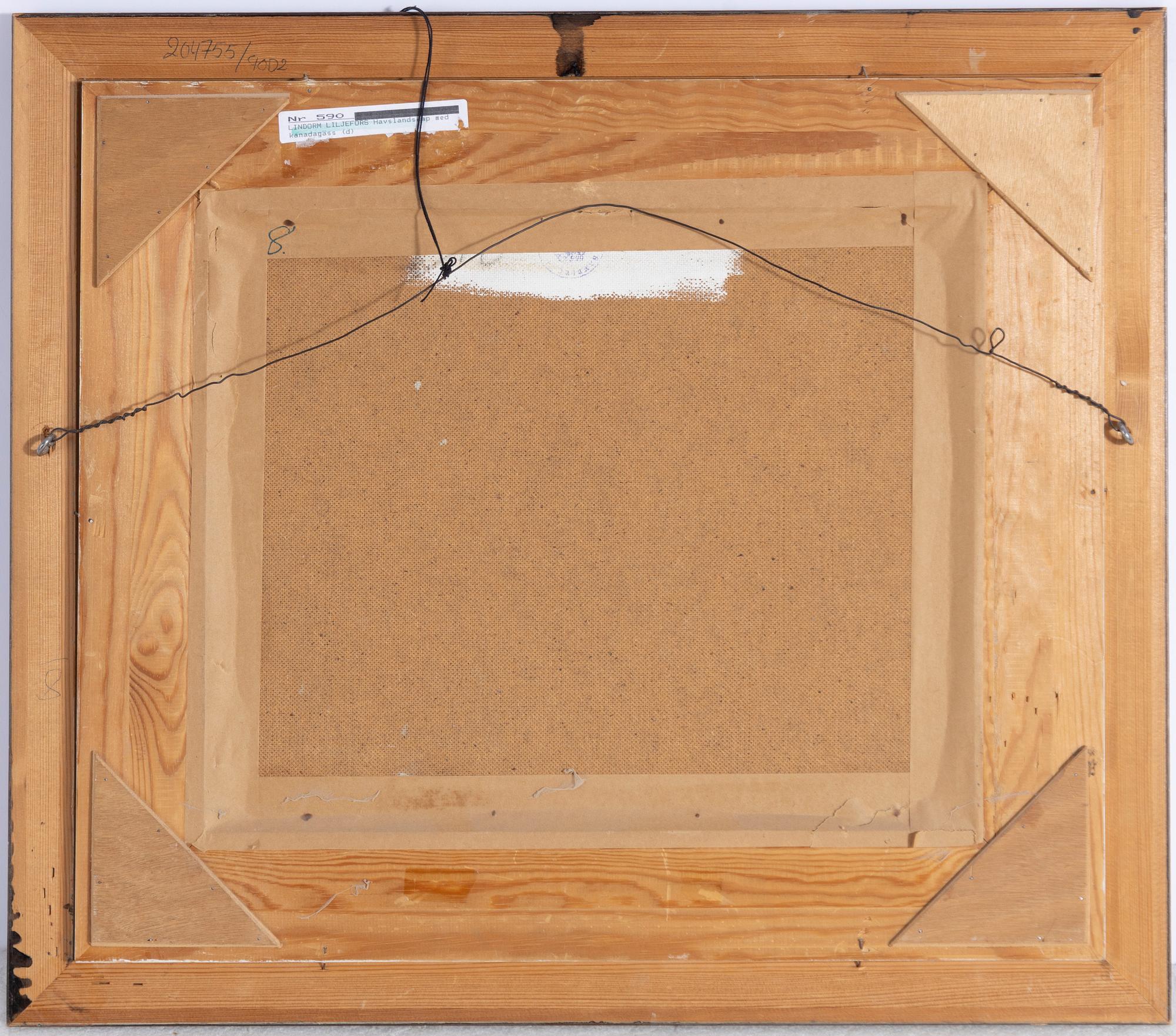 Lindorm Liljefors, Coastal landscape with white-fronted geese.