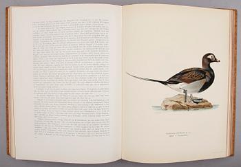 BÖCKER, 3 vol, "Svenska Fåglar", M,W & F von Wright, Stockholm 1927 och 1929.